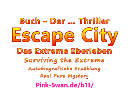 X9713, 12x Visitkarten, zum Buch 
