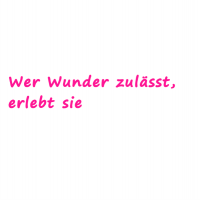 Preview: T1101, T-Shirt, kurzarm, "Wer Wunder zulässt, erlebt sie" - 100% Baumwolle - hochwertige Stickerei - für Damen