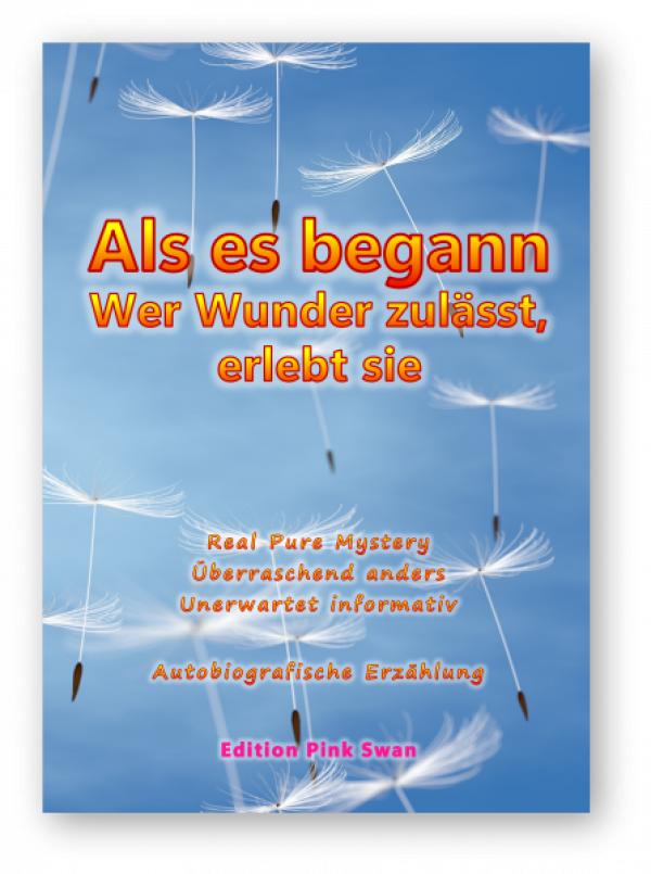B01, Buch, Hardcover, N.N., "Als es begann - Wer Wunder zulässt, erlebt sie", unterhaltsame Real Pure Mystery - Autobiografische Erzählung, 243 Seiten, Sprache: Deutsch