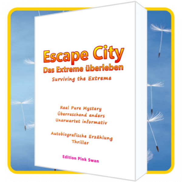 B13, Book, Hardcover, N.N., "Escape City - Das Extreme überleben - Thriller", enjoyable Real Pure Mystery - Autobiographical Story, 348 Pages, Language:  German - Deutsch