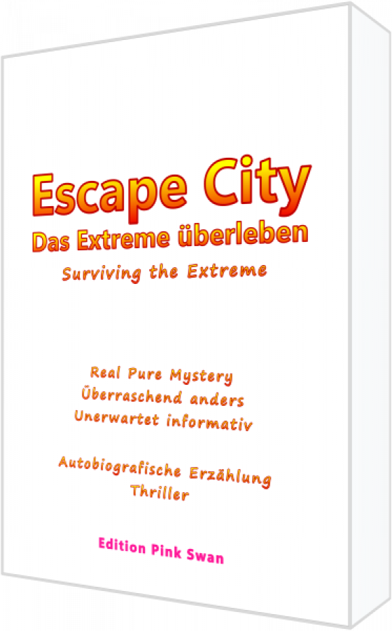 B13, Book, Hardcover, N.N., "Escape City - Das Extreme überleben - Thriller", enjoyable Real Pure Mystery - Autobiographical Story, 348 Pages, Language:  German - Deutsch
